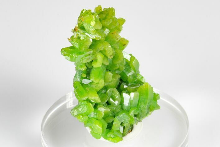 Apple-Green Pyromorphite Crystal Cluster - China #179720